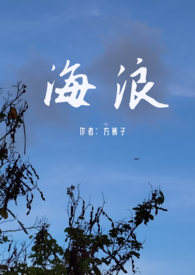 海浪视屏